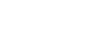 Viridis Environmental logo